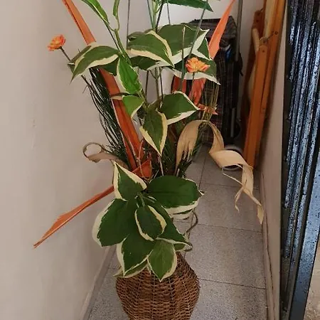 La Casa Di Mimi' * Cefalù